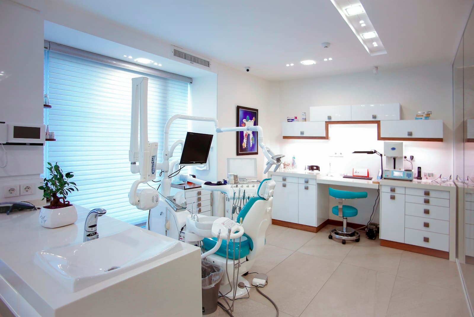 Calm, contemporary dental studio reception with warm lighting and soft sage tones